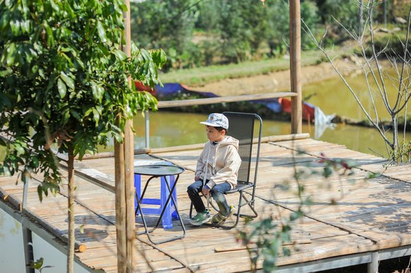 Gérer sa collection pokémon : conseils pratiques pour une organisation optimale